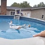 Fort Wayne Police Officer Saves Toddler From Drowning in Pool